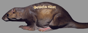 Delicia ttet